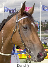 r5dandify3.jpg (14475 bytes)