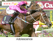 r6adolescence.jpg (18947 bytes)