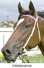 r6adolescence2.jpg (13317 bytes)