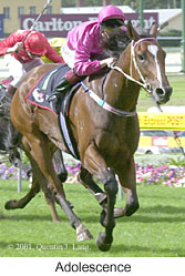 r6adolescence3.jpg (19492 bytes)