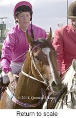 r6rtosc.jpg (14357 bytes)