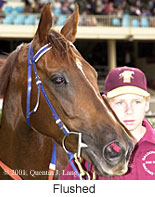 r7flushed2.jpg (13789 bytes)