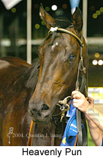 Heavenly Pun (13988 bytes)