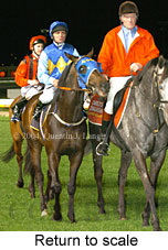 Return to scale (16737 bytes)