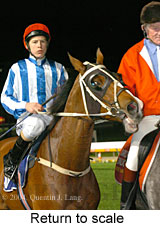 Return to scale (16321 bytes)