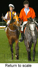 Return to scale (14699 bytes)