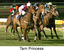 Tarn Princess (18607 bytes)