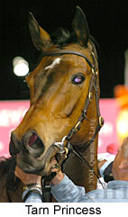 Tarn Princess (16726 bytes)
