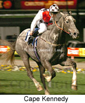 Cape Kennedy (16070 bytes)