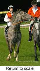 Return to scale (14590 bytes)