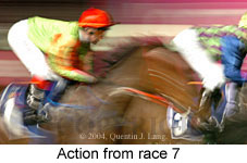 Action (10873 bytes)