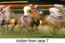 Action (10873 bytes)