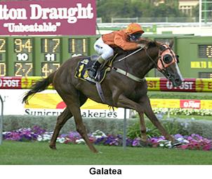 R1Galatea.jpg (21274 bytes)