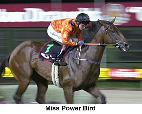 R6MissPBird.jpg (14377 bytes)