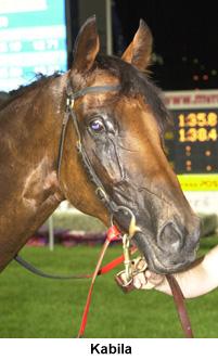 R7HeadShot.jpg (13704 bytes)