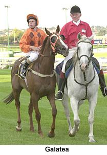 RtoScR1.jpg (15368 bytes)