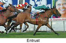 Entrust (18294 bytes)