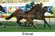 Entrust (18294 bytes)