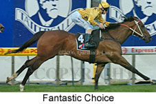 Fantastic Choice (18294 bytes)