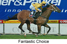 Fantastic Choice (18294 bytes)