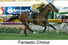 Fantastic Choice (18294 bytes)