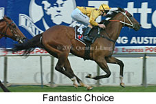 Fantastic Choice (18294 bytes)