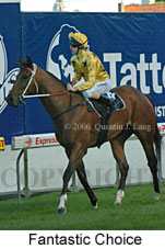 Fantastic Choice (18294 bytes)