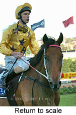 Return to scale (18294 bytes)