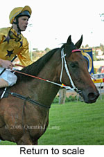 Return to scale (18294 bytes)