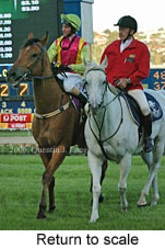 Return to scale (18294 bytes)