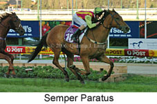Semper Paratus (18294 bytes)