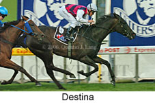 Destina (18294 bytes)