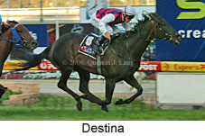 Destina (18294 bytes)