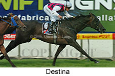 Destina (18294 bytes)