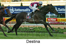 Destina (18294 bytes)