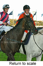 Return to scale (18294 bytes)