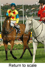 Return to scale (18294 bytes)