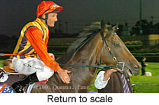 Return to scale (18294 bytes)