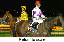 Return to scale (18294 bytes)