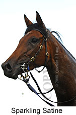 Sparkling Satine (18294 bytes)