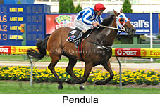 Pendula (18294 bytes)