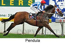 Pendula (18294 bytes)