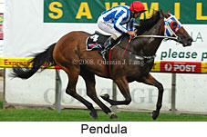 Pendula (18294 bytes)