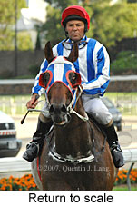 Return to scale (18294 bytes)