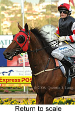 Return to scale (18294 bytes)