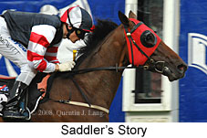 Saddler's Story (18294 bytes)