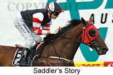 Saddler's Story (18294 bytes)