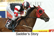 Saddler's Story (18294 bytes)