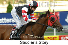 Saddler's Story (18294 bytes)