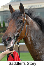 Saddler's Story (18294 bytes)